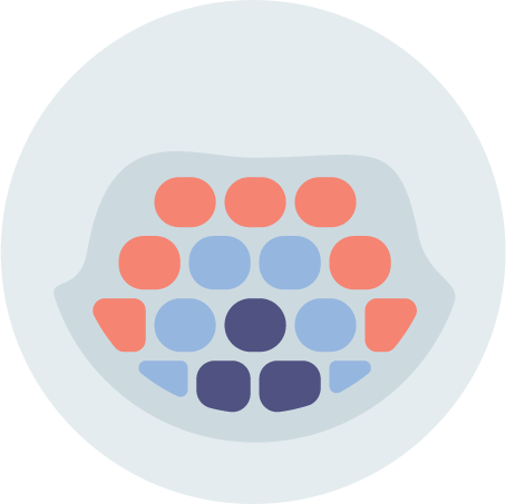 Anti biofilm factor