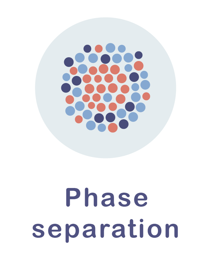 Phase Separation