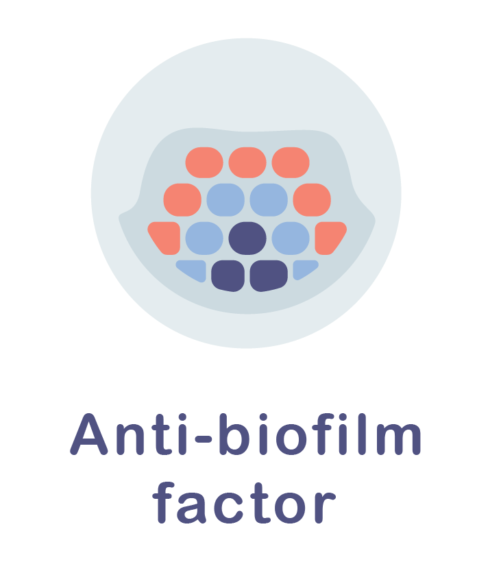 Anti biofilm factor