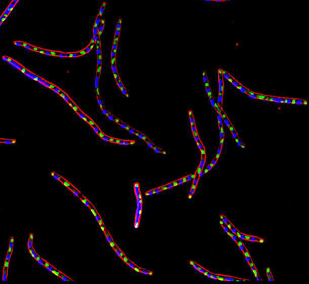 Homepage Picture 2